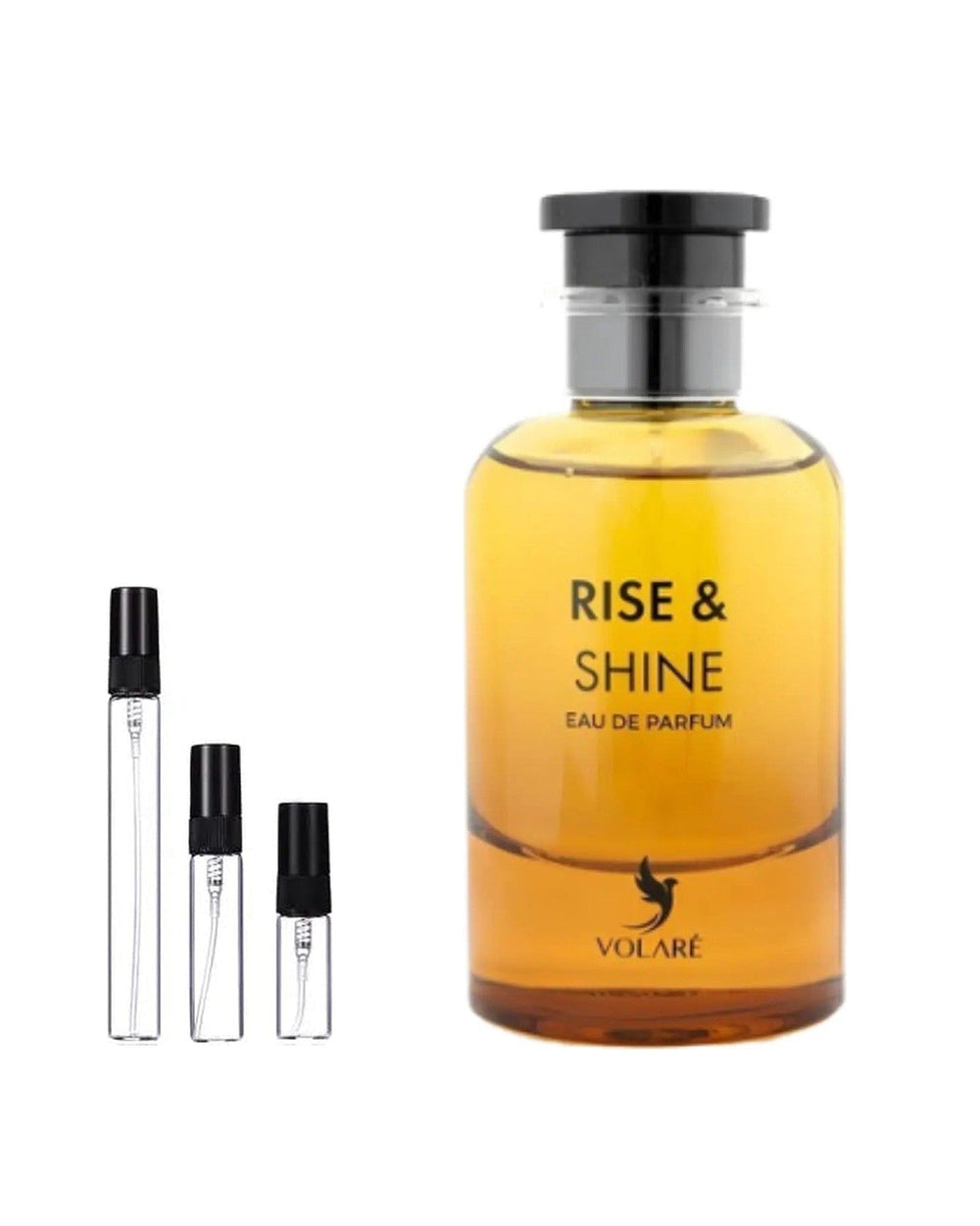 Volare Rise and Shine sample